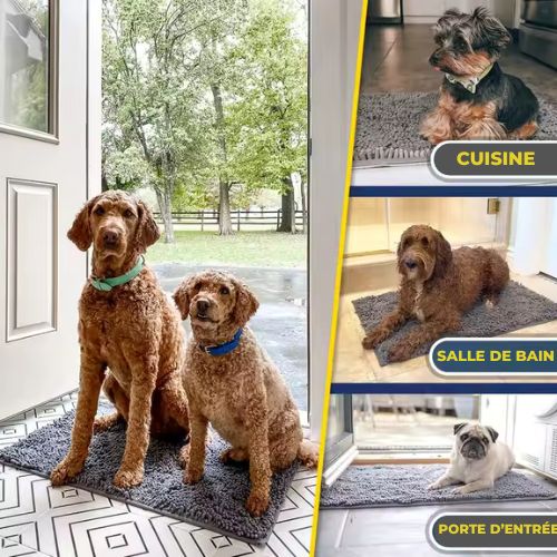 Tapis absorbant pour chien après une promenade humide