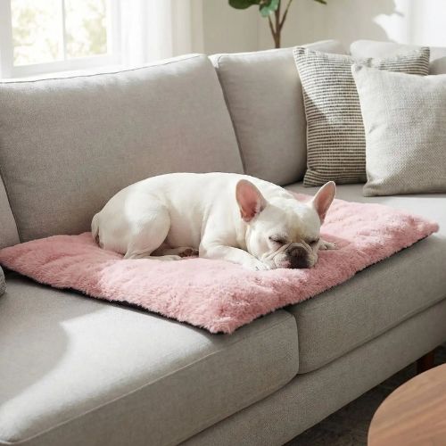Petit chien détendu sur un tapis pour chien rose doux et confortable