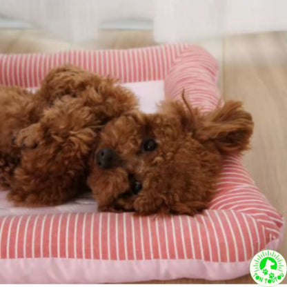 Tapis Rafraichissant Chien |  CoolPatte