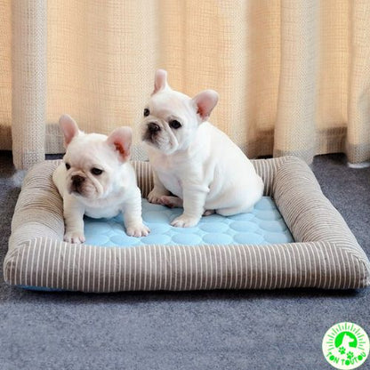 tapis-rafraichissant-chien-chat-confortable-apaisant-cocon-frais-moelleux-antiderapant-antistress-impermeable-etanche-lit-chien-bouledogue-petit-moyen-taille-anti-chaleur-bien-etre-pratique-detente-rebords-surelevees-ergonomique-soutien-cou-facile-a-nettoyer-lavable-bleu