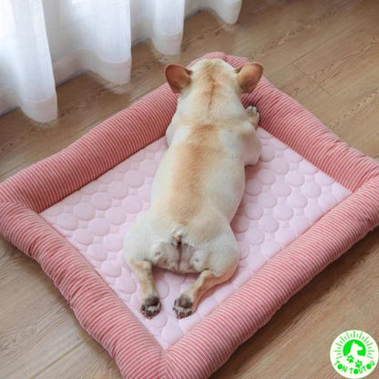 tapis-rafraichissant-chien-chat-confortable-apaisant-cocon-frais-moelleux-antiderapant-antistress-impermeable-etanche-lit-chien-bouledogue-petit-moyen-taille-anti-chaleur-bien-etre-pratique-detente-rebords-surelevees-ergonomique-soutien-cou-facile-a-nettoyer-lavable-rose-bleu
