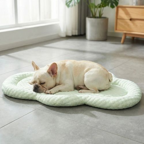 Un Bouledogue Français allongé confortablement sur un tapis rafraichissant chien vert posé au sol