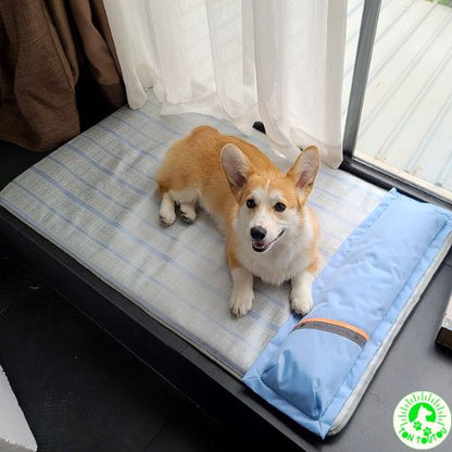 tapis-rafraichissant-chien-chat-dehoussable-amovible-confortable-apaisant-cocon-frais-moelleux-antiderapant-antistress-impermeable-etanche-lit-chien-chat-petit-moyen-taille-anti-chaleur-bien-etre-pratique-detente-rebords-surelevees-ergonomique-orthopedique-mousse-memoire-de-forme-facile-a-nettoyer-lavable-respirant-doux-sommeil-reparateur