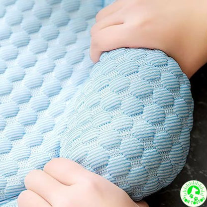 Tapis Rafraichissant Chien | Zen Patounes