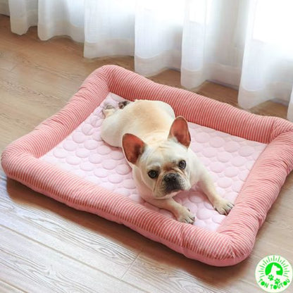 tapis-rafraichissant-chien-chat-confortable-apaisant-cocon-frais-moelleux-antiderapant-antistress-impermeable-etanche-lit-chien-bouledogue-petit-moyen-taille-anti-chaleur-bien-etre-pratique-detente-rebords-surelevees-ergonomique-soutien-cou-facile-a-nettoyer-lavable-rose