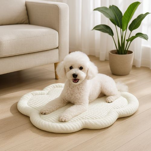 Chien Caniche allongé confortablement sur un tapis rafraichissant chien vert posé au sol