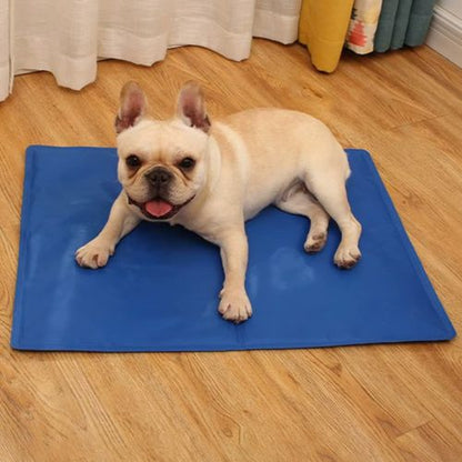 tapis-rafraichissant-pour-chien-bouledogue-français-allonge-confortablement