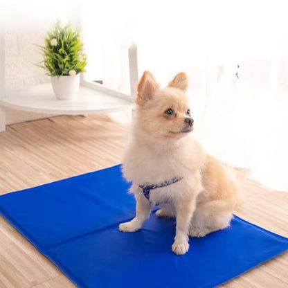 tapis-rafraichissant-pour-chien-chihuahua-assis-aisément-ete-pendant-canicule