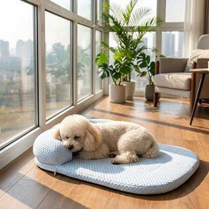 Petit chien Bichon blanc couché sur un tapis rafraîchissant pour chien, chiot et chat bleu clair avec oreiller intégré, placé dans un salon lumineux.