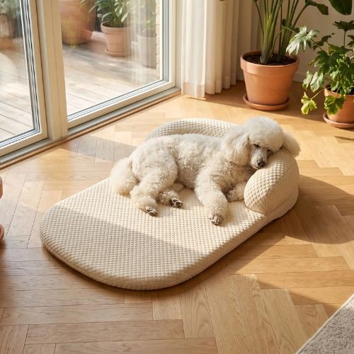 Grand chien Caniche Royal blanc endormi sur un tapis rafraîchissant pour chien jaune clair avec oreiller Orthotapis, situé près d'une fenêtre ensoleillée.