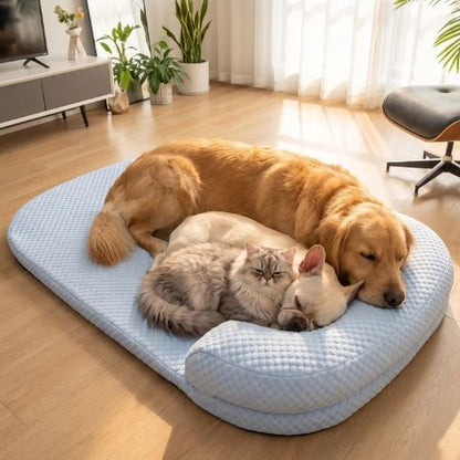 Golden Retriever, Bouledogue Français et chat à poil long dormant ensemble sur un grand tapis rafraîchissant pour chien, chiot et chat bleu.