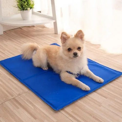 tapis-rafraichissant-pour-chien-petit-taille-chihuahua-allongé-tranquillement
