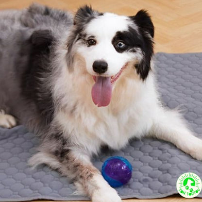 tapis-xxl-pour-chien-absorbant-resistant-durable-confortable-pour-voiture-canape-cage-lit-grand-chien-lavable-doux-anti-stress-apaisant-gris-maron