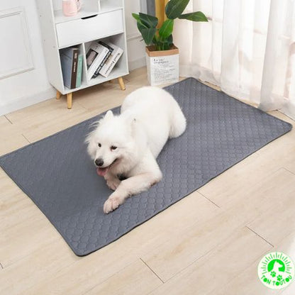 tapis-xxl-pour-chien-absorbant-resistant-durable-confortable-pour-grand-chien-lavable-doux-anti-stress-apaisant-gris